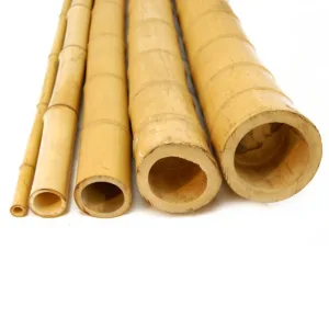 Ιστος bamboo