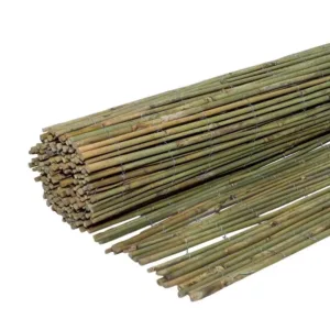 Καλαμωτή bamboo μασίφ Ø7-12 mm