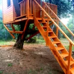 Treehouse Ντόσια