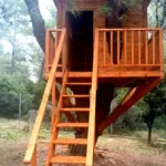 Treehouse Ντόσια