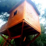 Treehouse Ντόσια